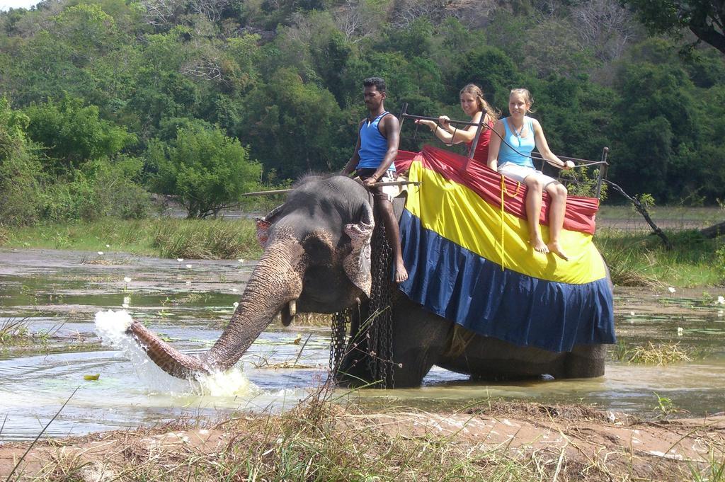 Risenlak Holiday Resort Polonnaruwa Dış mekan fotoğraf