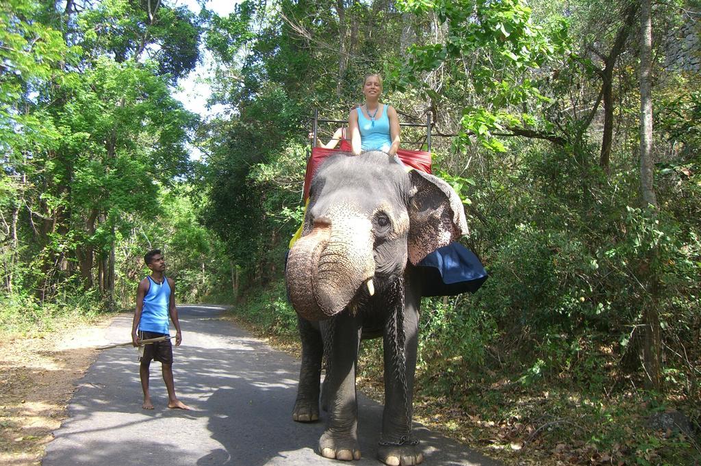 Risenlak Holiday Resort Polonnaruwa Dış mekan fotoğraf